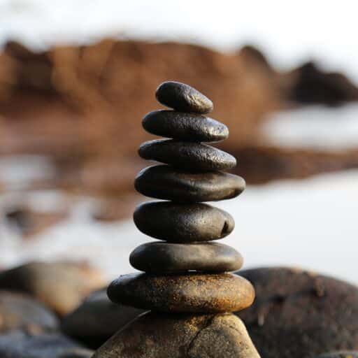 pexels pixabay 355863